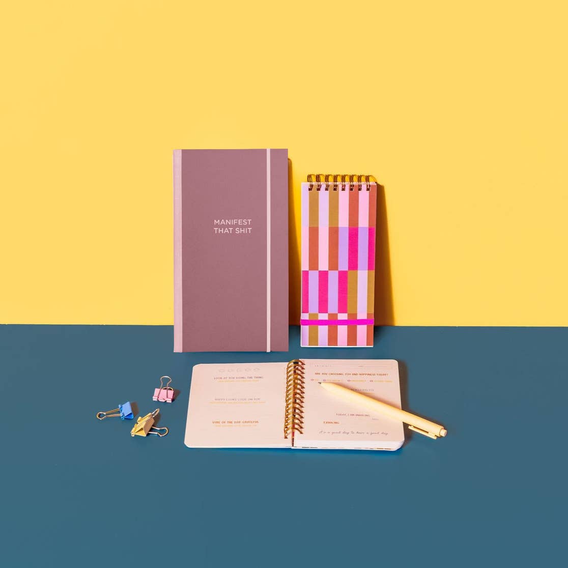 NEW! Skinny Notebooks