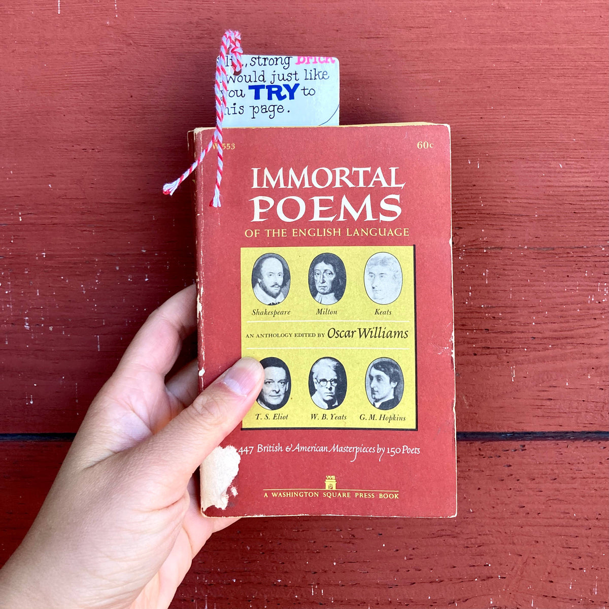Board Book Bookmarks