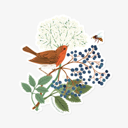 ROBIN | CLEAR VINYL STICKER