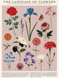 Vintage Posters Wrapping Paper - Language of Flowers