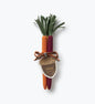 Bunch of Tricolor Carrots Pens