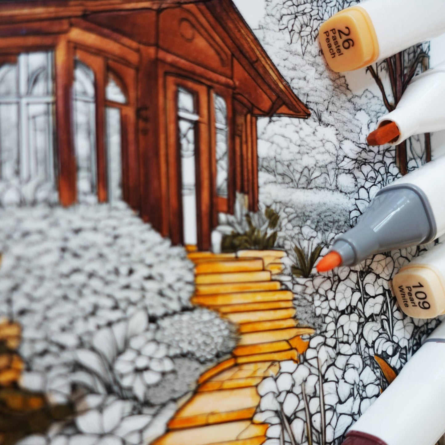 Dual Tip Markers Set, 12 Colors - 4 Color Options Available