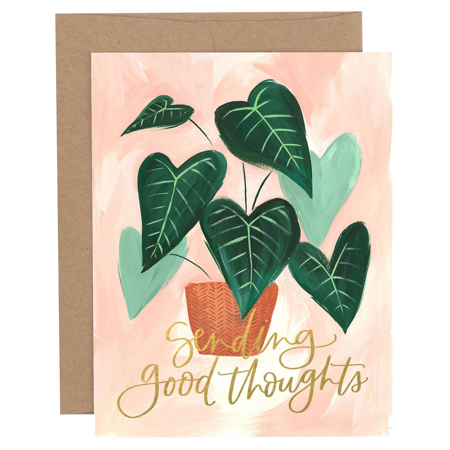 Greenhouse Specialty Greeting Card Box Set