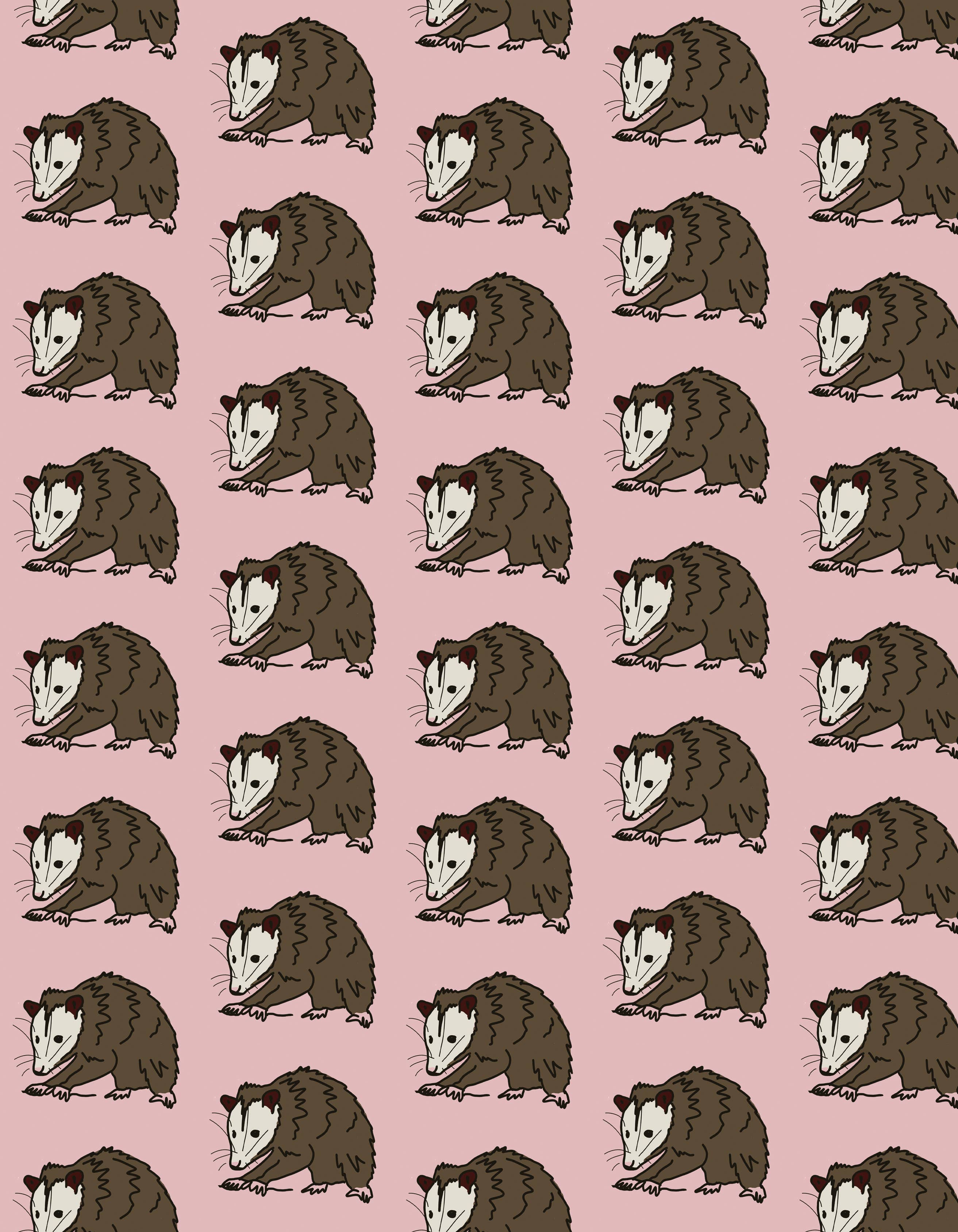 Possum Wrapping Paper Sheet – Flagship City Press