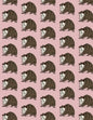 Possum Wrapping Paper Sheet