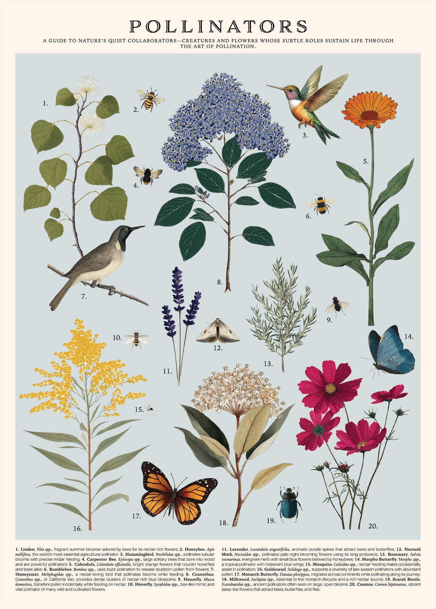 Vintage Posters Wrapping Paper - Pollinators