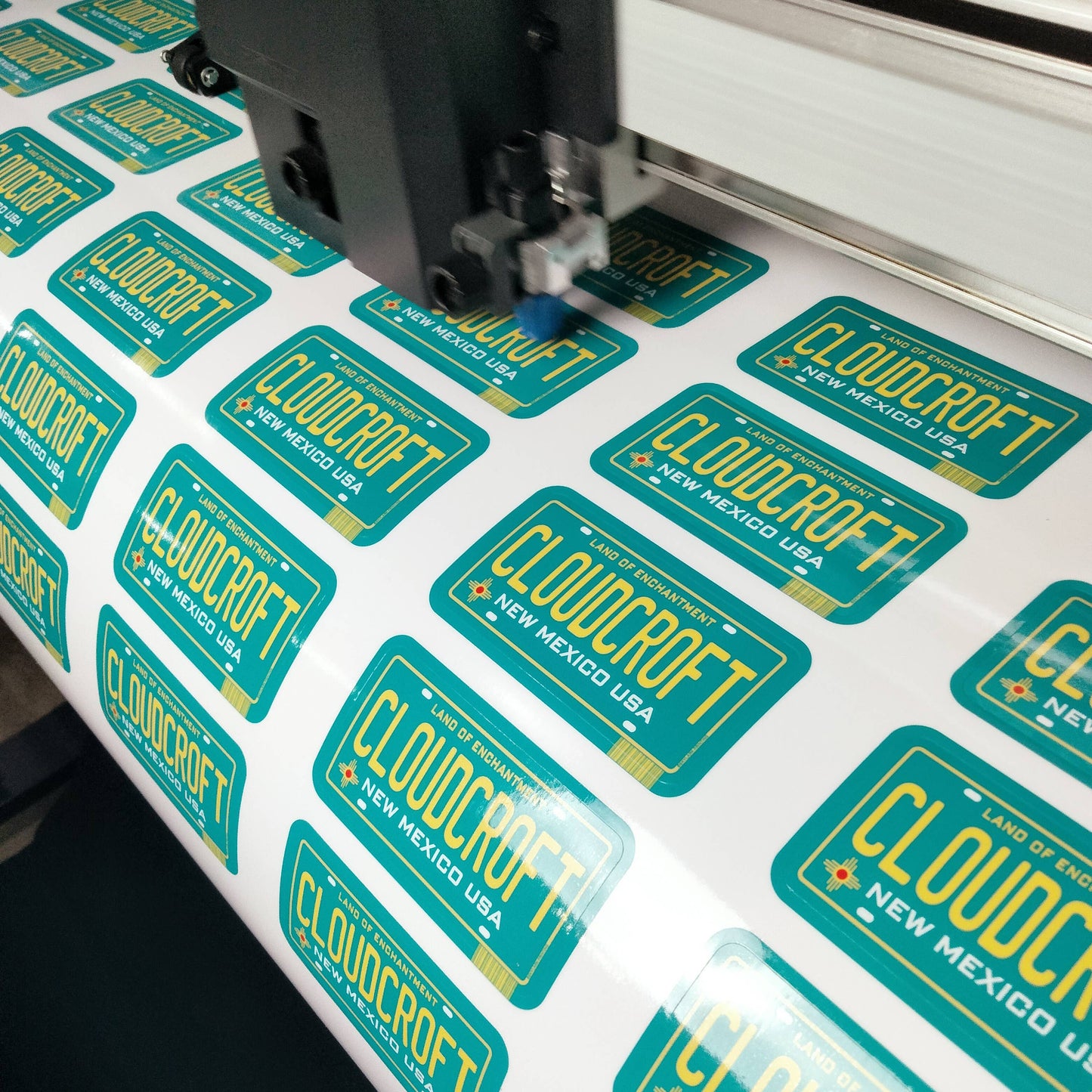 State License Plate Souvenir Sticker with Your City, Text