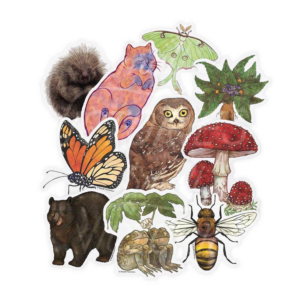 Eco-Sticker: Luna Moth