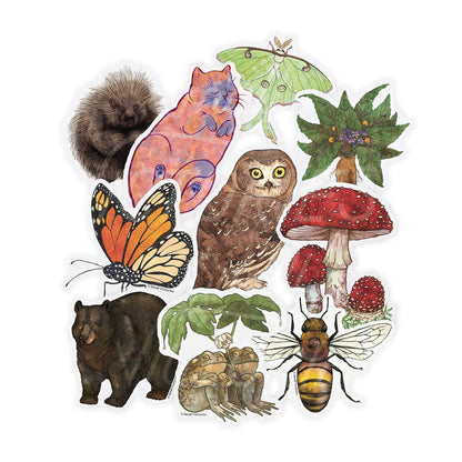 Eco-Sticker: Luna Moth