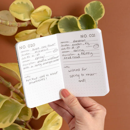 One Hundred Plants Journal