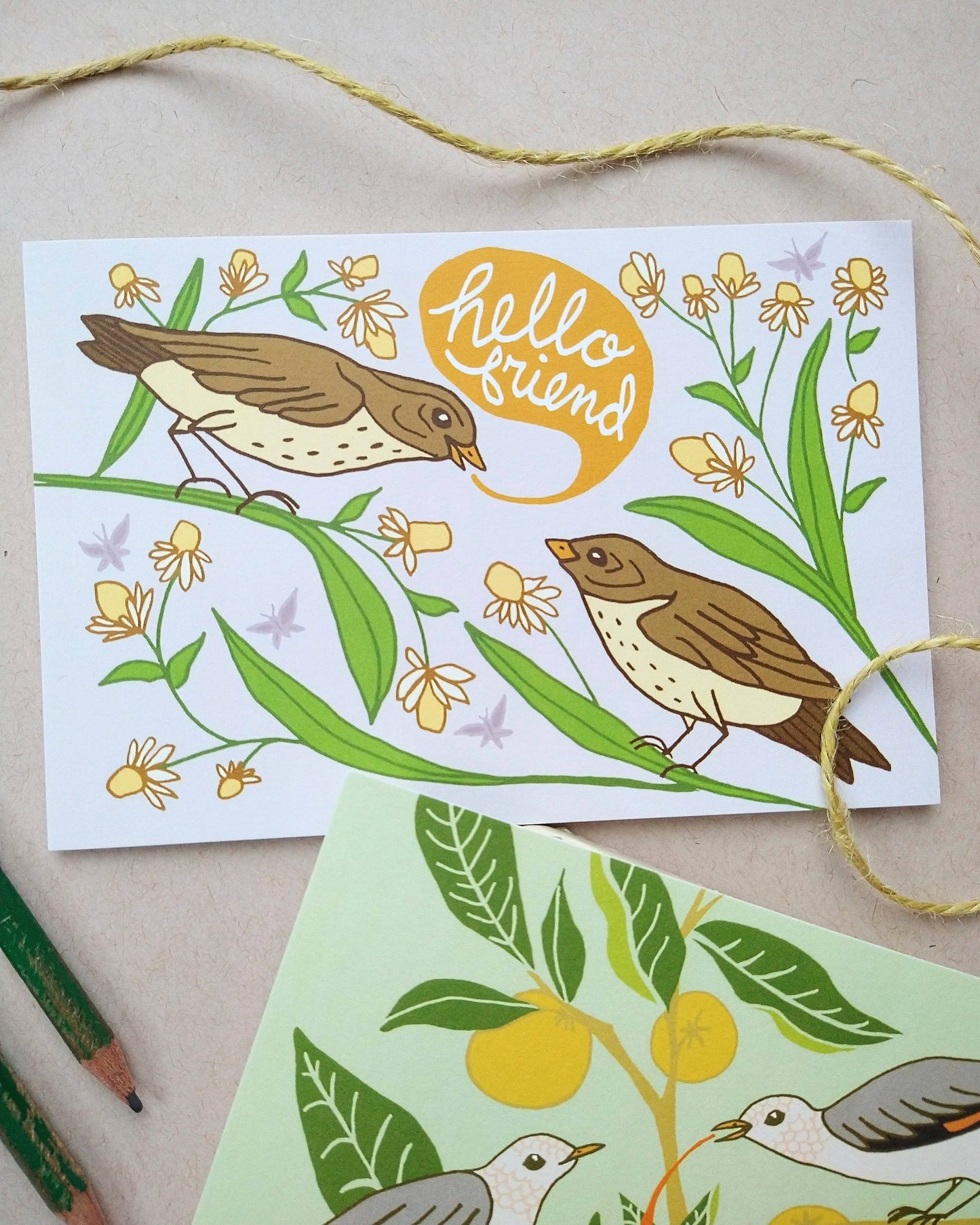 Hello Friend Bird Postcard