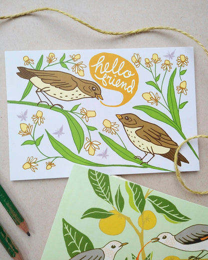 Hello Friend Bird Postcard