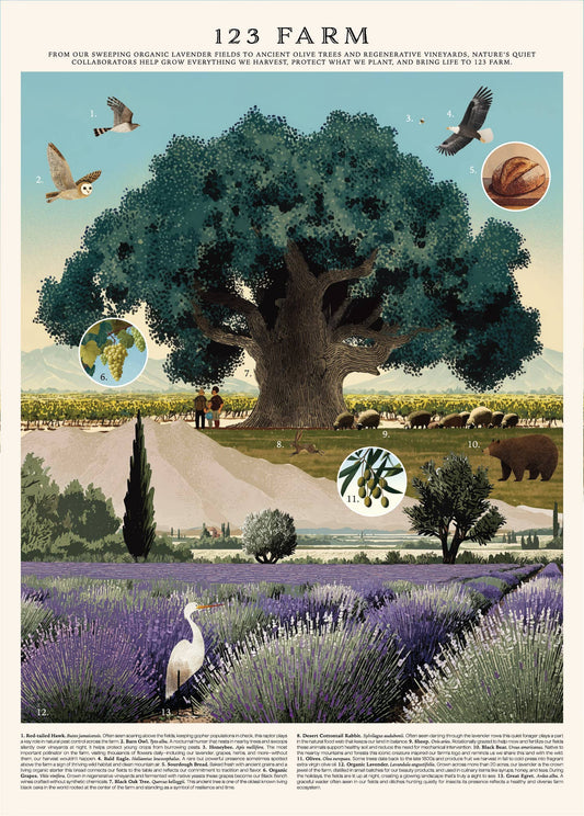 Vintage Posters Wrapping Paper - 123 Farm