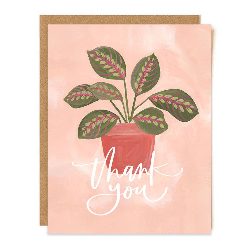 Greenhouse Specialty Greeting Card Box Set