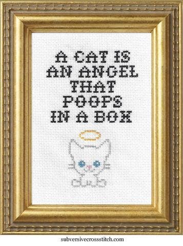 A Cat is an Angel