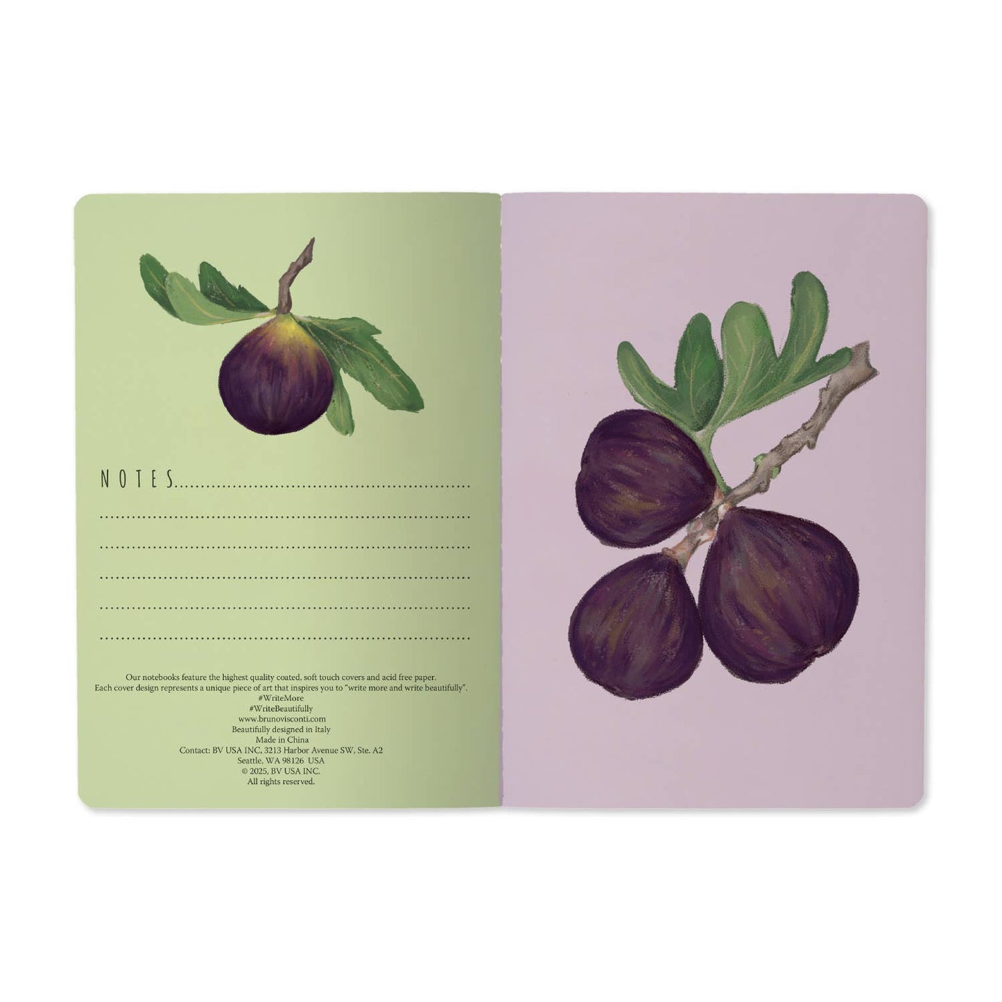 A5 Notebook -Figs on White