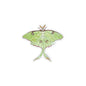 Eco-Sticker: Luna Moth