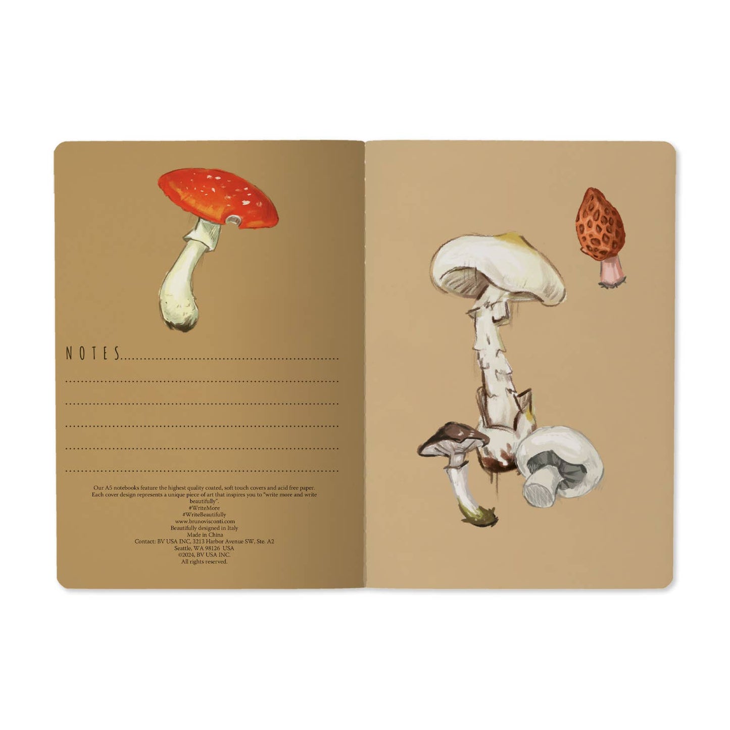 Mushrooms on White