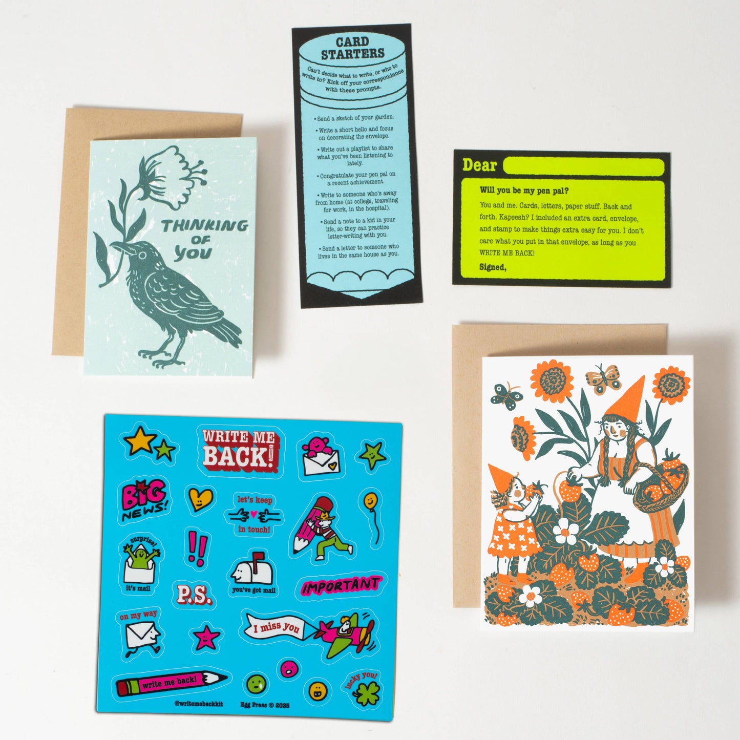Strawberry + Crow Letter Writing Write Me Back Pen Pal Kit 