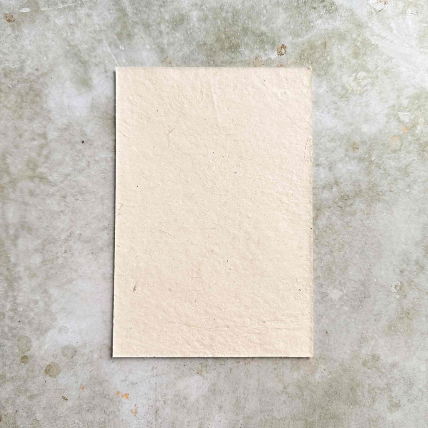 Nepalese Handmade Lokta Paper and Envelopes - Mugwort & Bougainvillea