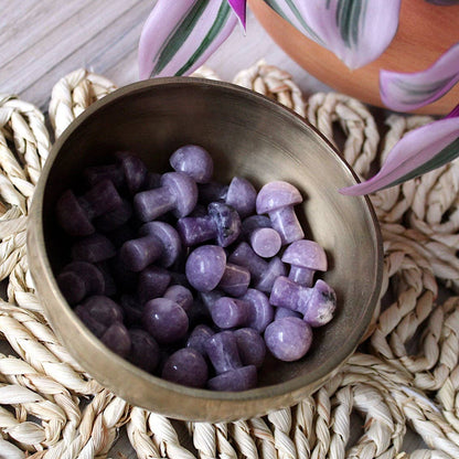 Lepidolite Mini Mushroom (Crystals & Stones)