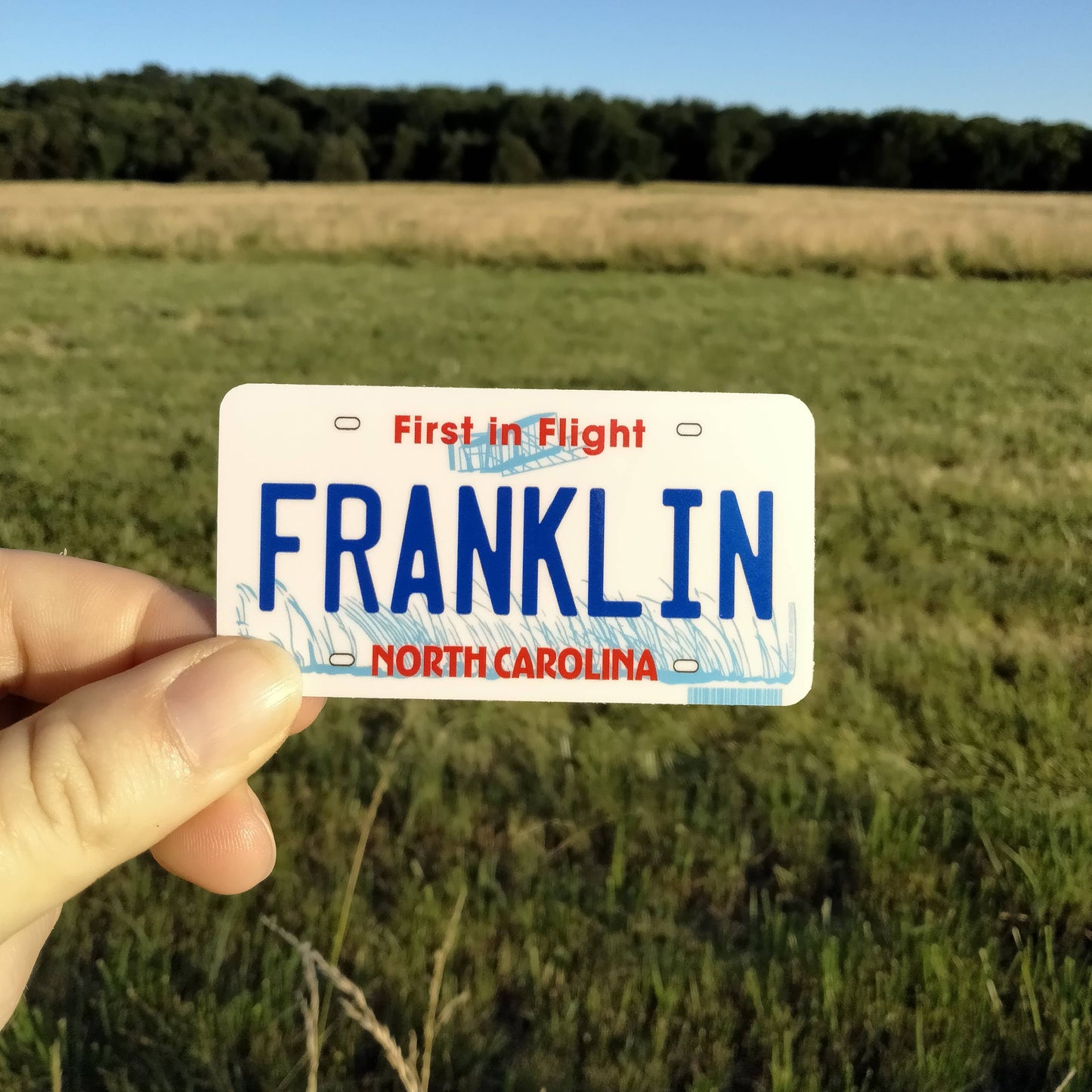 State License Plate Souvenir Sticker with Your City, Text