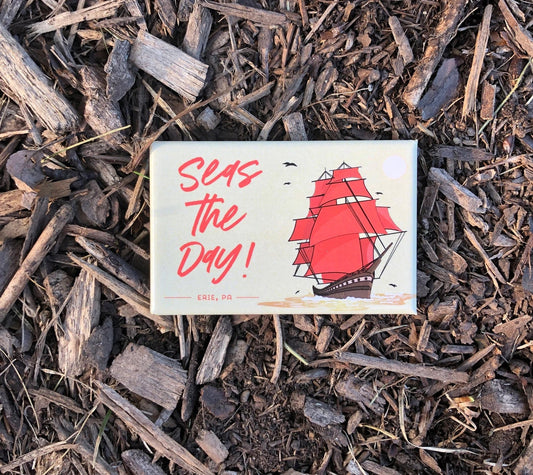  A magnet with a pun on words