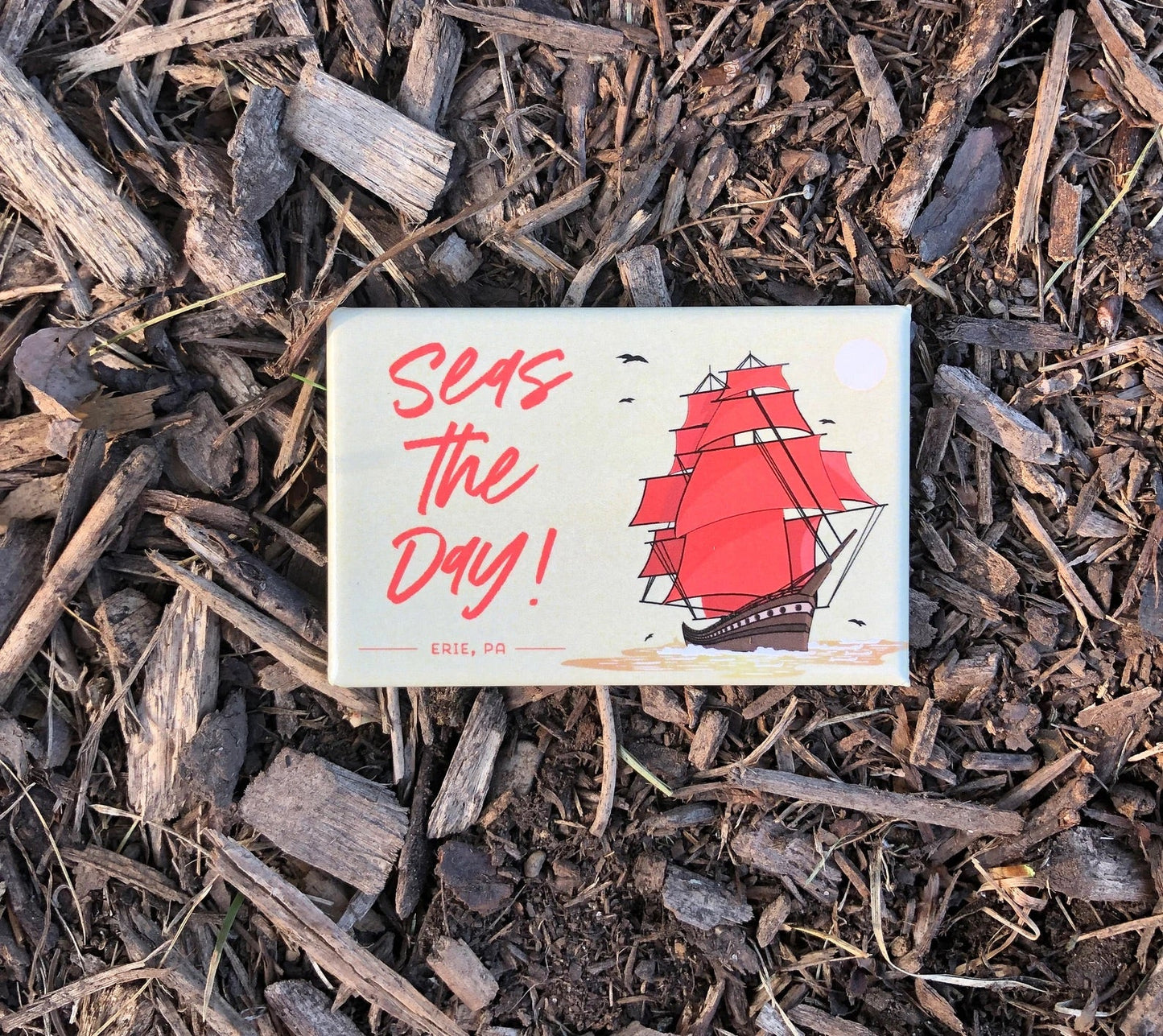  A magnet with a pun on words